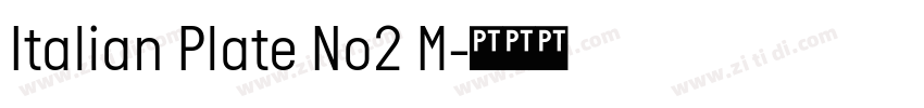 Italian Plate No2 M字体转换